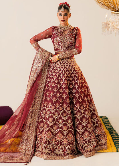Shurooq | Zara Edit 24 | Raani XS Deep Red Organza