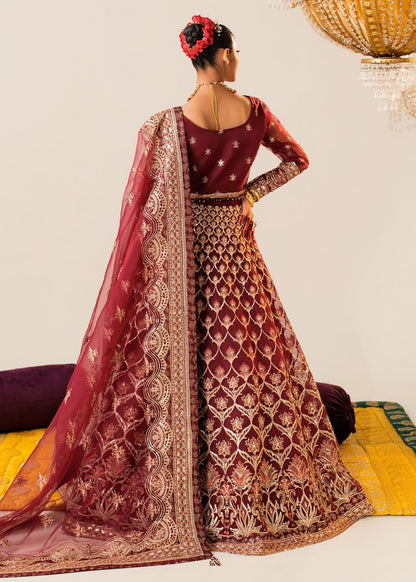 Shurooq | Zara Edit 24 | Raani S Deep Red Organza