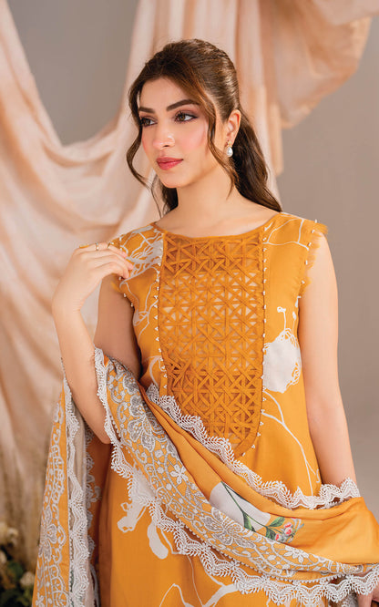 Asifa and Nabeel | Winter Meraki 24 | Solstice-MW-08 - Pakistani Designer Dress - by Asifa and Nabeel | Type: Ladies Clothes - 100% Original at Saira Sultan