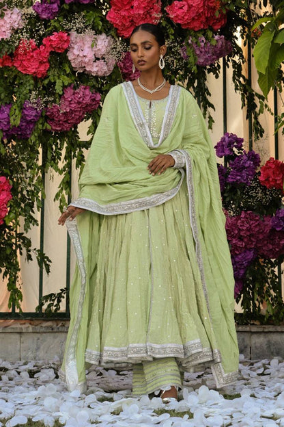 The Pink Tree Company | Wedding Wear | LEAFY BLUSH - Pakistani Designer Dress - by The Pink Tree Company | Type: Formal - 100% Original at Saira Sultan