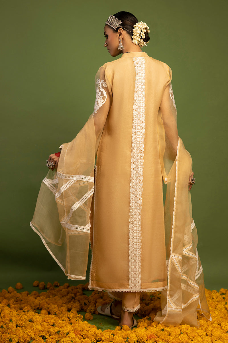 Wardha Saleem | Luxury Pret Traditional Wear | SHIKAR GAH - AARI WORK (2 PC) S Pale Yellow Organza