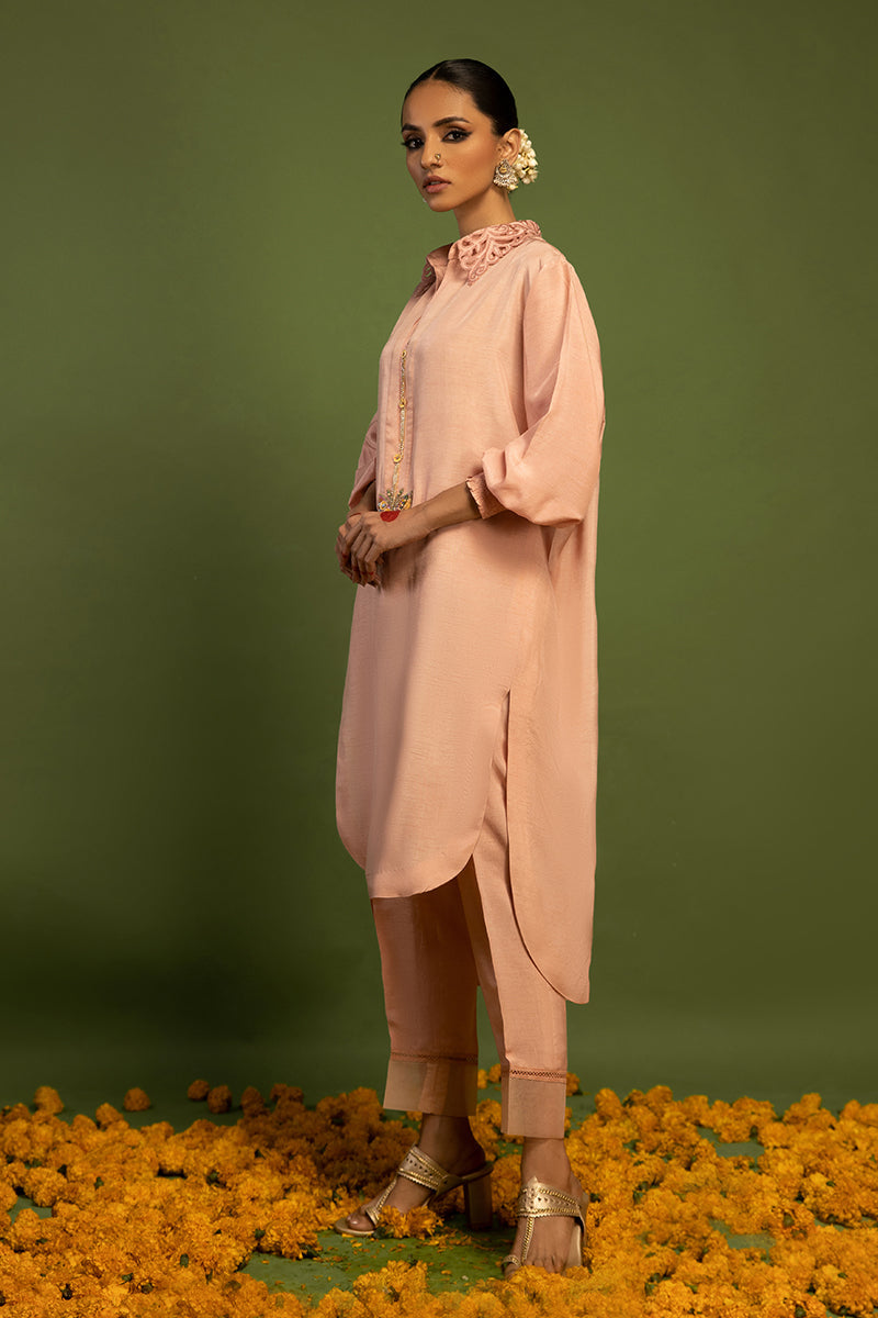 Wardha Saleem | Luxury Pret Traditional Wear | TITLI (2 PC) L Pale Peach Raw Silk