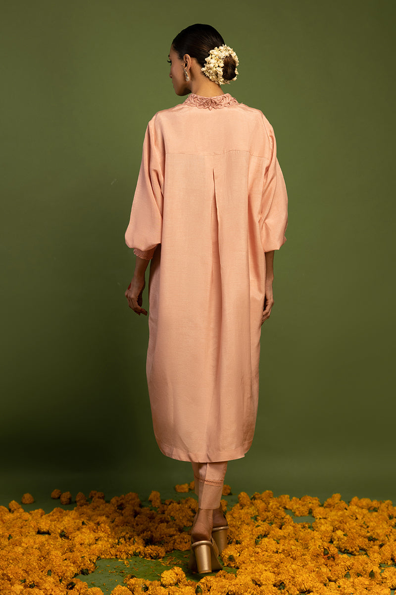 Wardha Saleem | Luxury Pret Traditional Wear | TITLI (2 PC) S Pale Peach Raw Silk