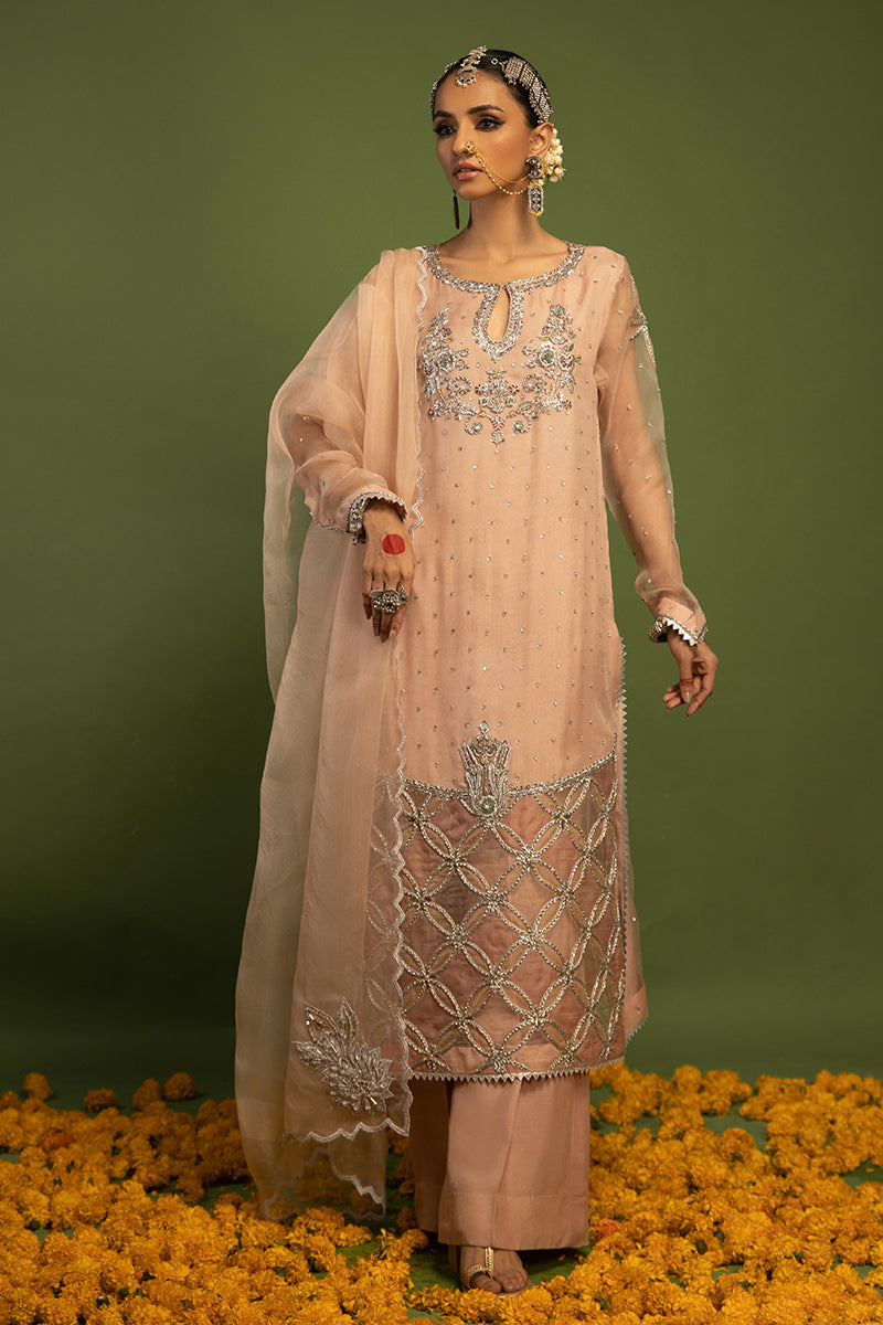 Wardha Saleem | Luxury Pret Traditional Wear | MISMAAR - HEAVY FORMAL (2 PC) XS Salmon Pink Raw Silk