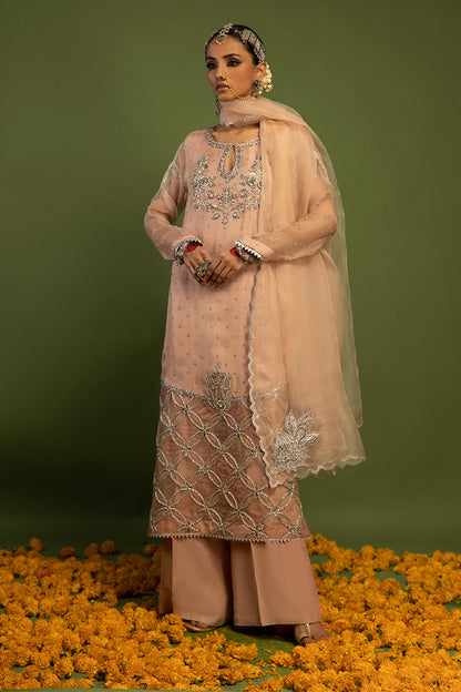 Wardha Saleem | Luxury Pret Traditional Wear | MISMAAR - HEAVY FORMAL (2 PC) XL Salmon Pink Raw Silk