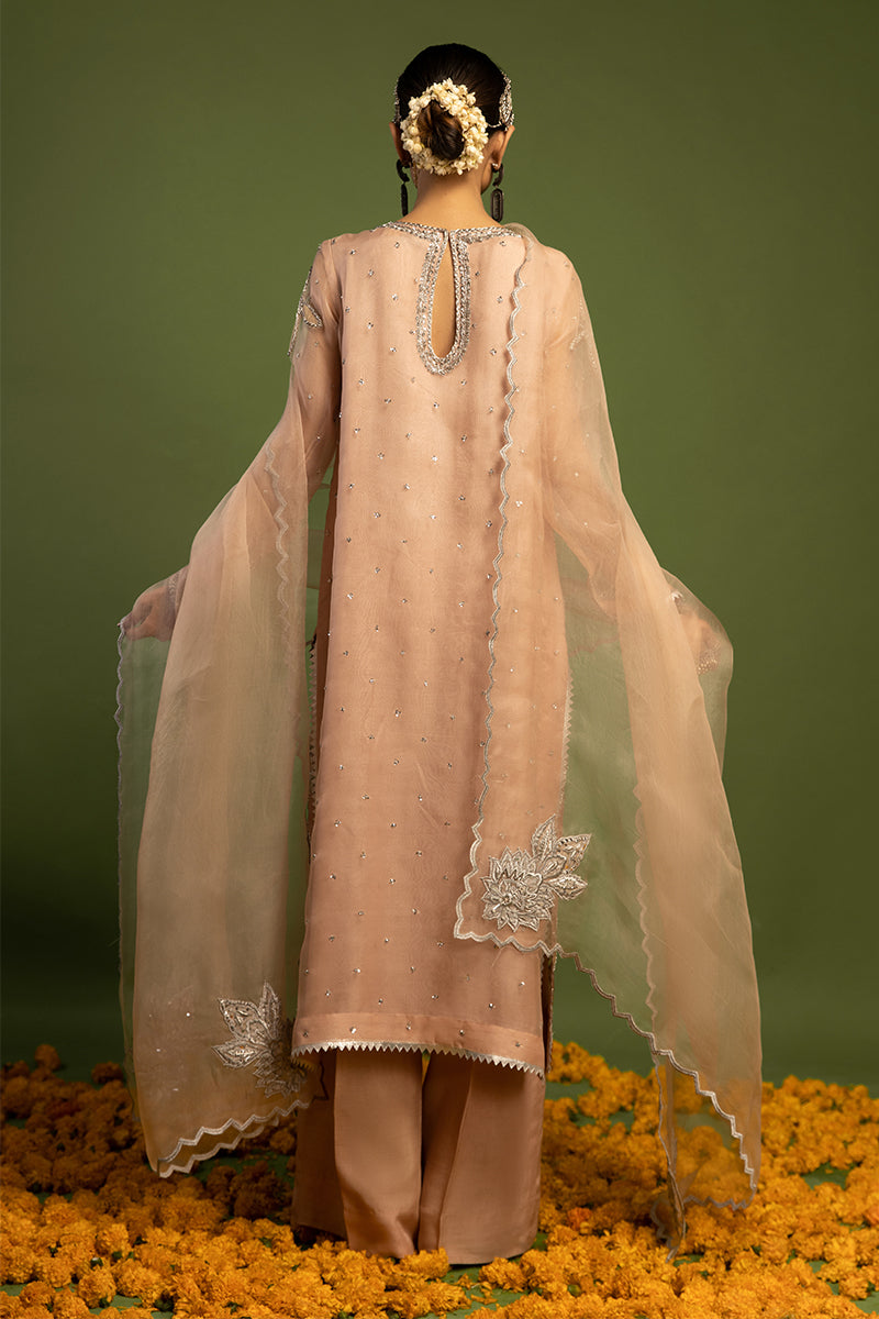 Wardha Saleem | Luxury Pret Traditional Wear | MISMAAR - HEAVY FORMAL (2 PC) S Salmon Pink Raw Silk