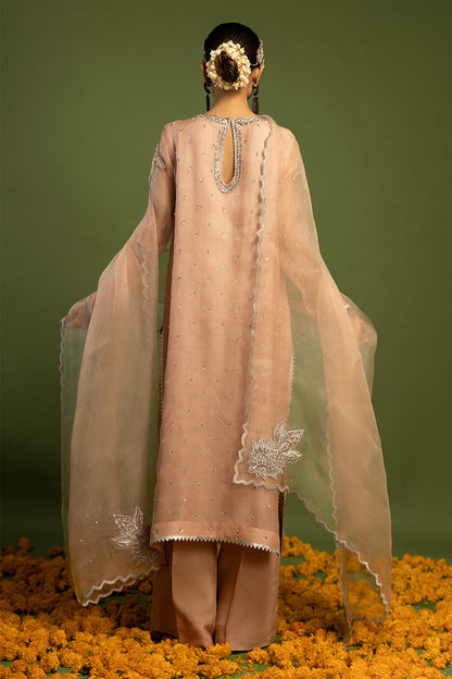 Wardha Saleem | Luxury Pret Traditional Wear | MISMAAR - HEAVY FORMAL (2 PC) S Salmon Pink Raw Silk
