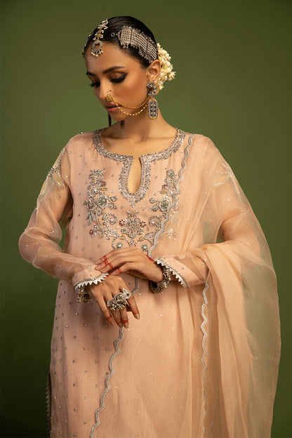 Wardha Saleem | Luxury Pret Traditional Wear | MISMAAR - HEAVY FORMAL (2 PC) M Salmon Pink Raw Silk