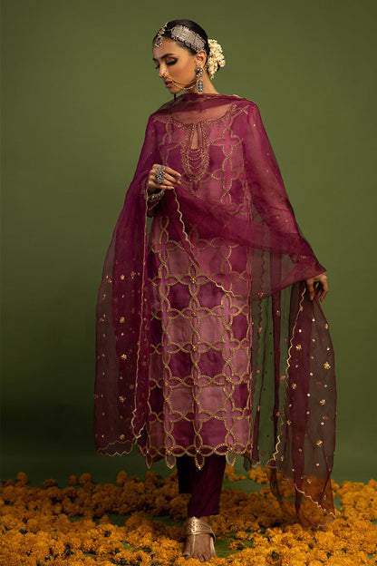 Wardha Saleem | Luxury Pret Traditional Wear | SARAAB - PLUM HEAVY (2 PC) Custom Size Pink Raw Silk