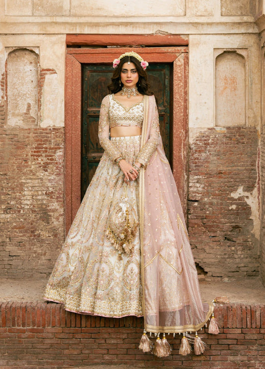 MNR | Zarlish Festive 25 | Wajeha in Kohinoor by MNR - Designer Dress - Type : Ladies Clothes - Available at Saira Sultan - 100% Original 