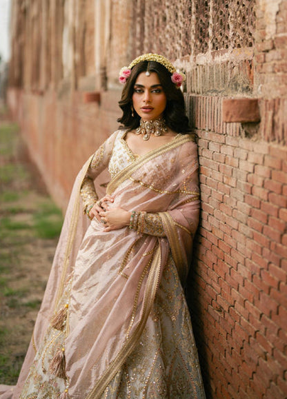 MNR | Zarlish Festive 25 | Wajeha in Kohinoor by MNR - Designer Dress - Type : Ladies Clothes - Available at Saira Sultan - 100% Original 