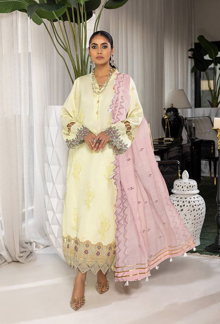 Humdum | Charlotte Chikankari Lawn | D06 - Pakistani Designer Dress - by HumDum | Type: Luxury - 100% Original at Saira Sultan
