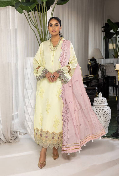 Humdum | Charlotte Chikankari Lawn | D06 - Pakistani Designer Dress - by HumDum | Type: Luxury - 100% Original at Saira Sultan