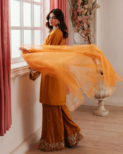Ain | Zahra Formal Edit 25 | AN-110 M Pinkish Orange Chiffon