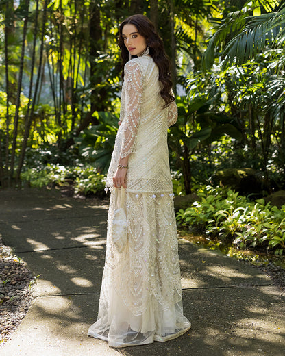 Ain | Cascade Party Wears | AN-99 S Ivory Net