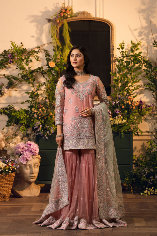 Hemstitch | Festive Edition 24 | Raya XS Baby Pink Net