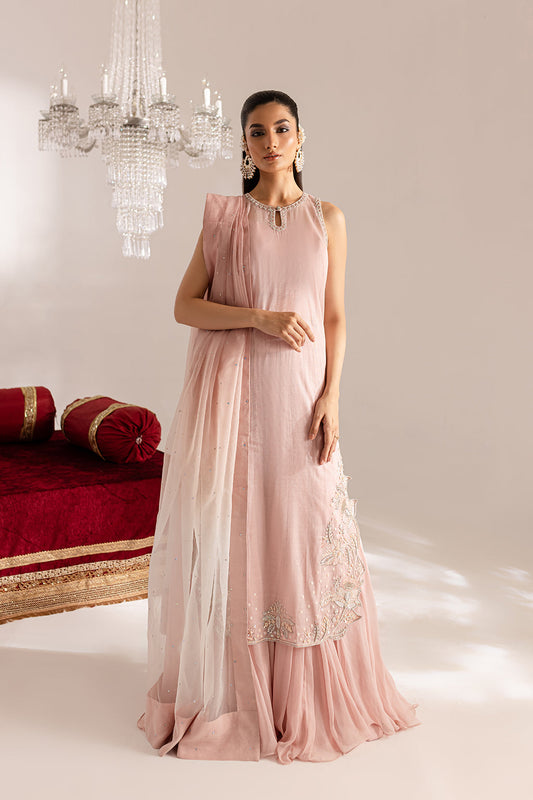 Vanya | Gulraz Formals | FF-60 XS Powder Pink Masoori