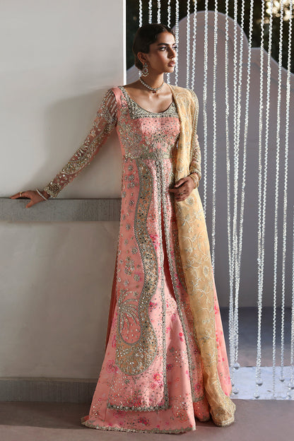 Soraya | Lumene Festive'25/26 | Velora - Pakistani Designer Dress - by Soraya  - Type : Ladies Clothes - 100% Original at Saira Sultan