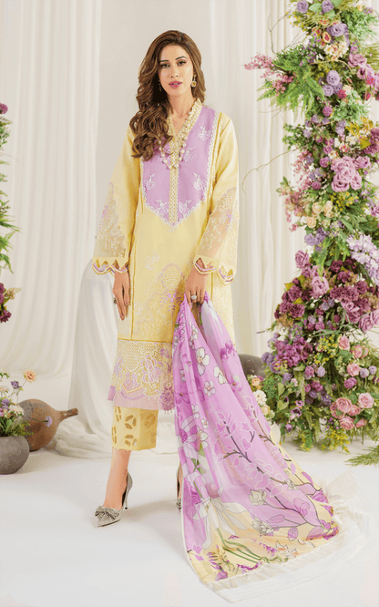 Asifa and Nabeel | Pretty in Pink Limited Edition | Versaila (PP-10) - Pakistani Designer Dress - by Asifa and Nabeel | Type: Luxury - 100% Original at Saira Sultan