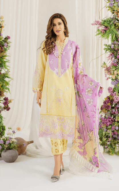 Asifa and Nabeel | Pretty in Pink Limited Edition | Versaila (PP-10) - Pakistani Designer Dress - by Asifa and Nabeel | Type: Luxury - 100% Original at Saira Sultan