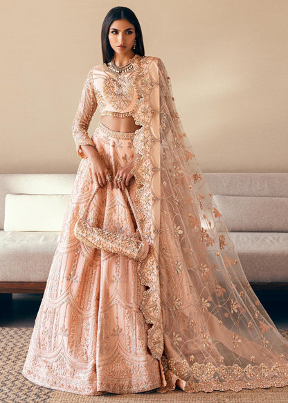 Waqas Shah | Amariage Luxury Formals | Coral Bliss XS Peach Net