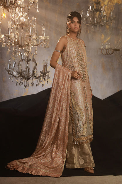 Wardha Saleem | Layla Wedding Formals | Layla-11 XL Blush Pink Shimmer Chiffon