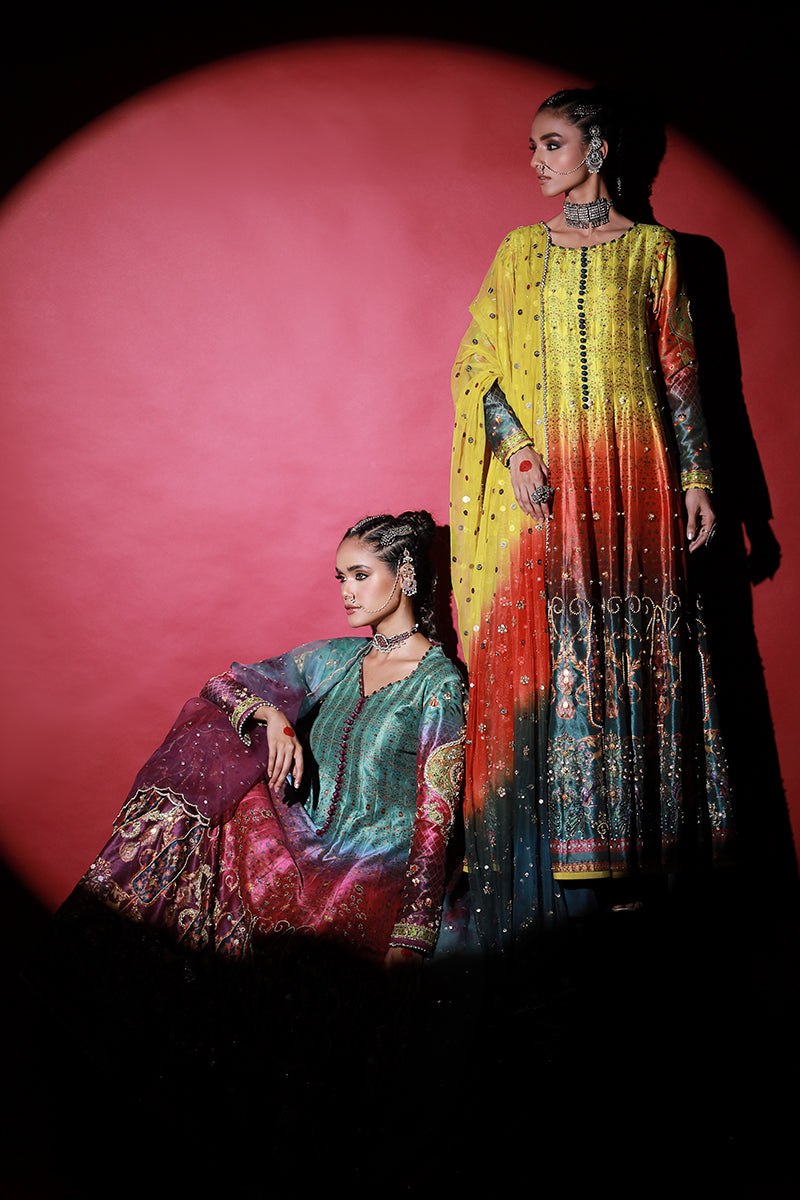Wardha Saleem | Meeram Festive Formals | Satrangi M Multicolor Korean Raw Silk