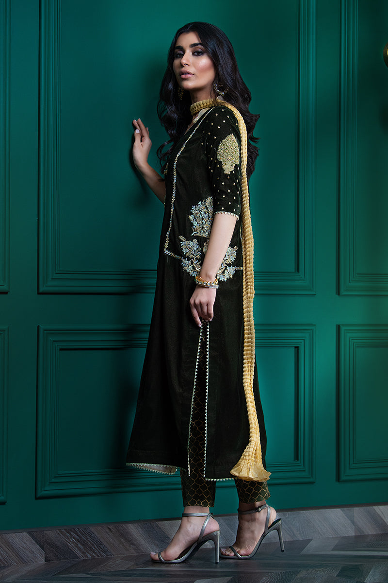 Wardha Saleem | Velvets Winter Fall 24 | Guldaan M Deep Olive Green Velvet