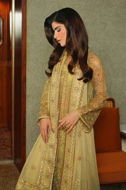 Naqshi | Celastra Formals | Nabah - Pakistani Designer Dress - by Naqshi | Type: Ladies Clothes - 100% Original at Saira Sultan