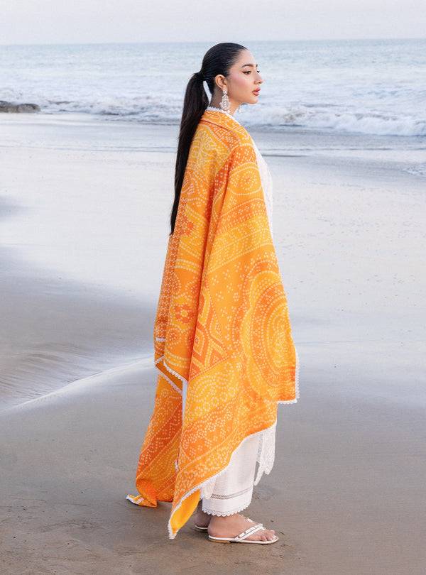Zainab chottani | Luxury Chikankari 24 | CHUNARI - 3B - Pakistani Designer Dress - by Zainab Chottani | Type: Luxury - 100% Original at Saira Sultan