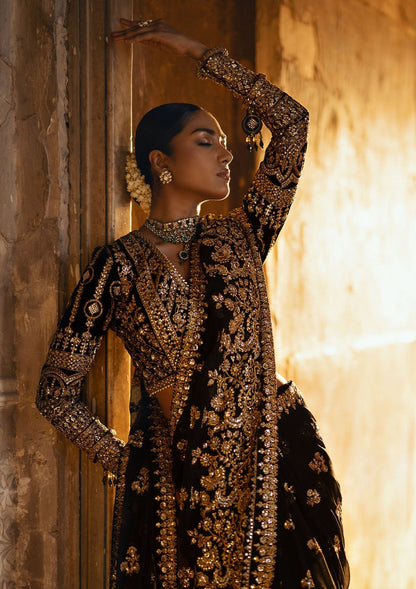 Aik Atelier | Dastoor Velvet 24 | DASTOOR - LOOK 04 M Deep Chocolate Chiffon