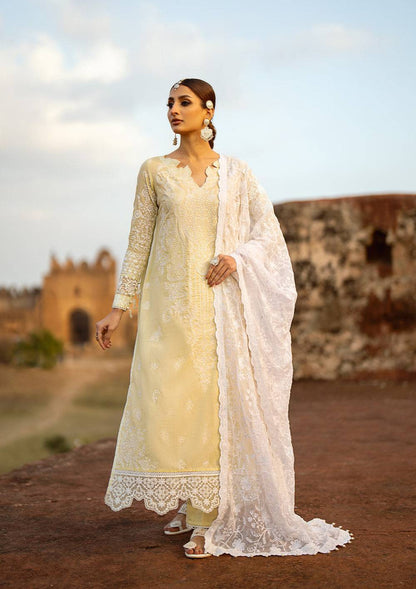 Aik Atelier | Pardes Lawn 24 | LOOK 06 - Pakistani Designer Dress - by Aik Atelier | Type: Luxury - 100% Original at Saira Sultan