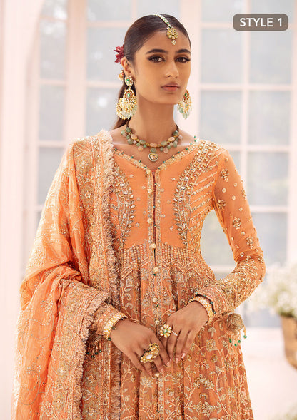 Aik Atelier | Wedding Festive 24 | LOOK 06 - Pakistani Designer Dress - by Aik Atelier | Type: Bridal - 100% Original at Saira Sultan