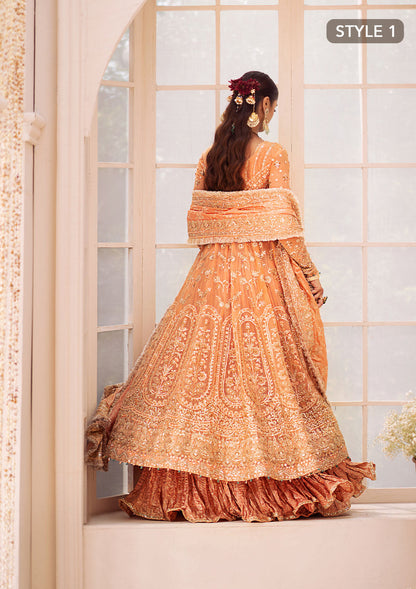 Aik Atelier | Wedding Festive 24 | LOOK 06 - Pakistani Designer Dress - by Aik Atelier | Type: Bridal - 100% Original at Saira Sultan