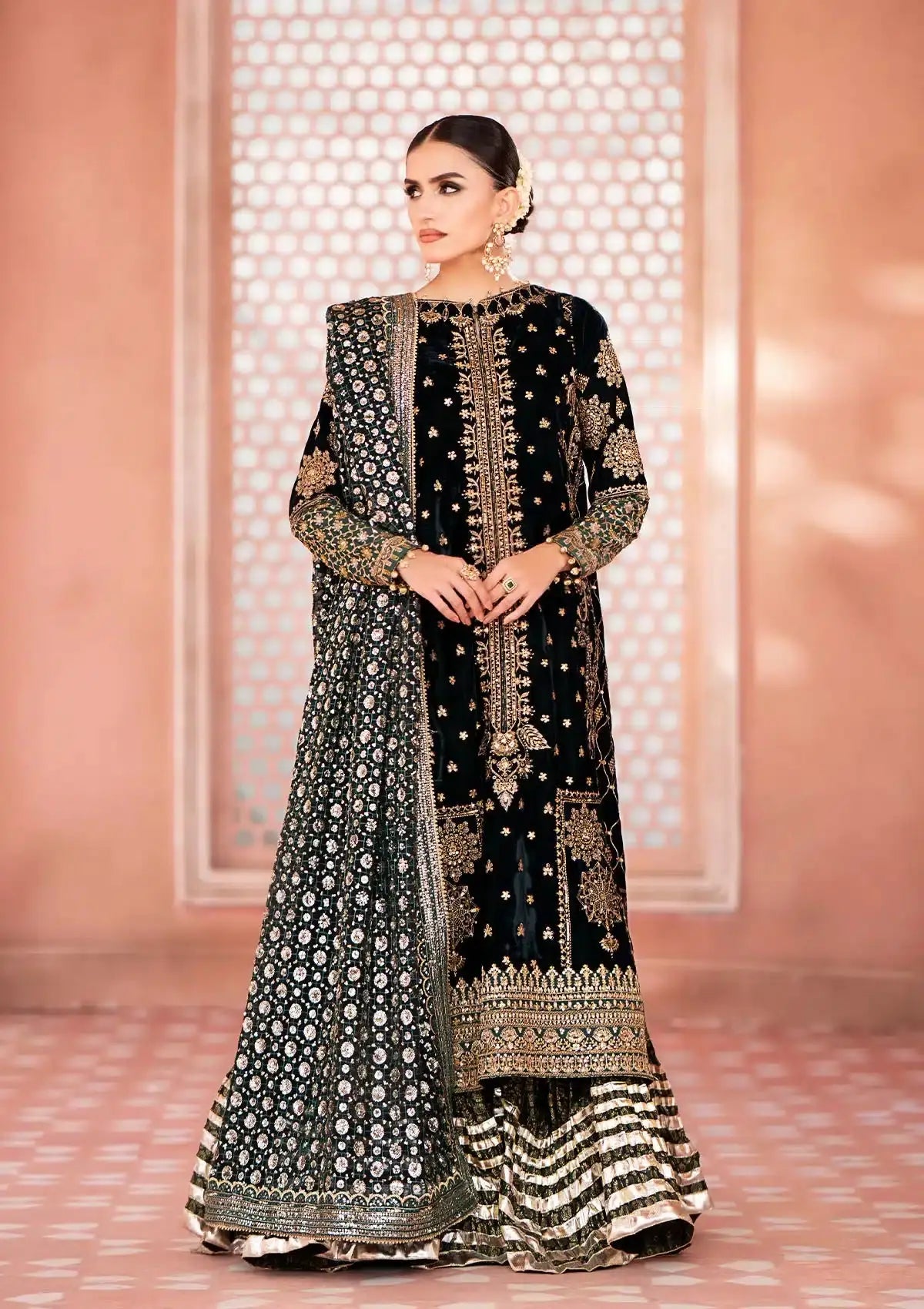 Aik Atelier | Zardozi Velvet 23 | 05 - Pakistani Designer Dress - by Aik Atelier | Type: Formal - 100% Original at Saira Sultan