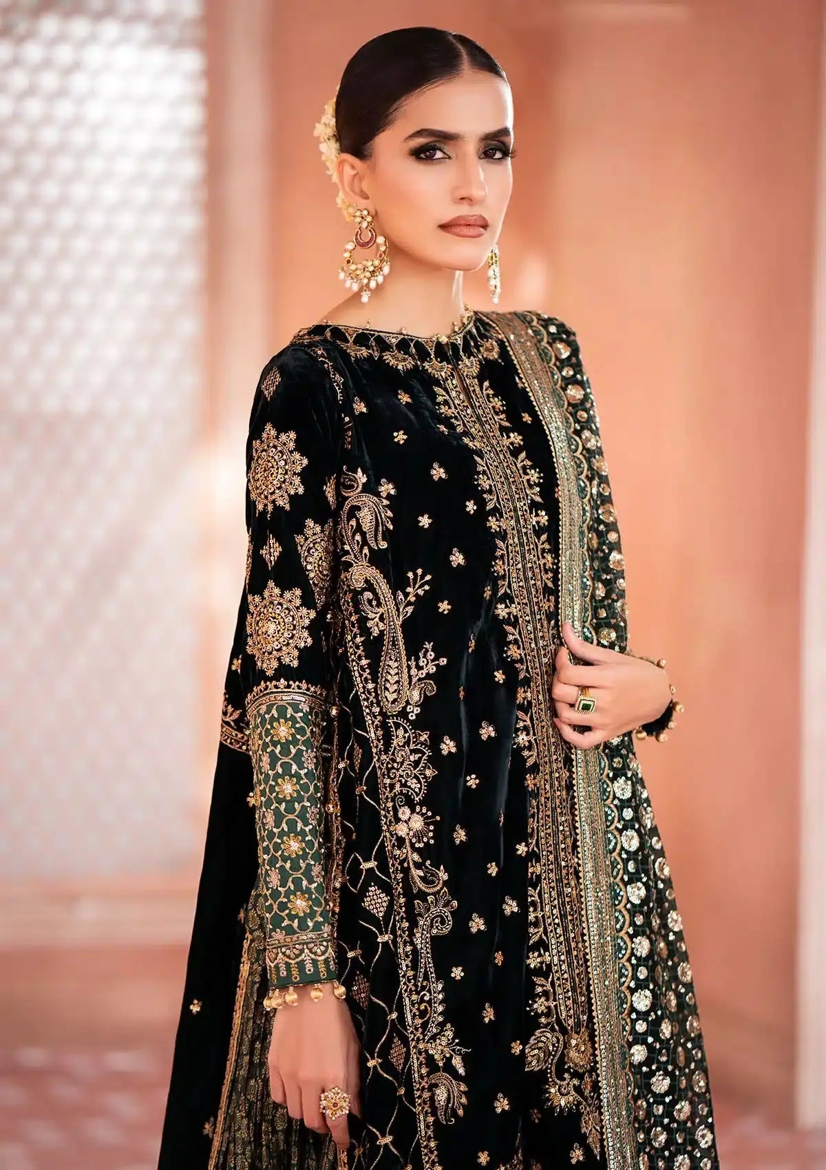 Aik Atelier | Zardozi Velvet 23 | 05 - Pakistani Designer Dress - by Aik Atelier | Type: Formal - 100% Original at Saira Sultan