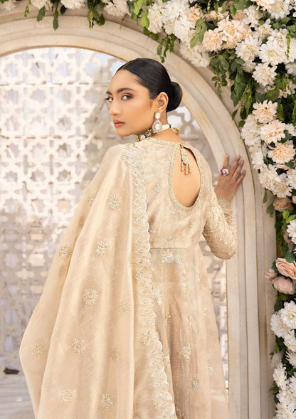 Aik Atelier | Formals Vol-1 24 | LOOK 06 - Pakistani Designer Dress - by Aik Atelier | Type: Formal - 100% Original at Saira Sultan