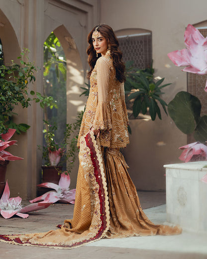 Ain | Naulakha Wedding Festive 24 | AR-143 KESAR S Mustard Yellow Chiffon