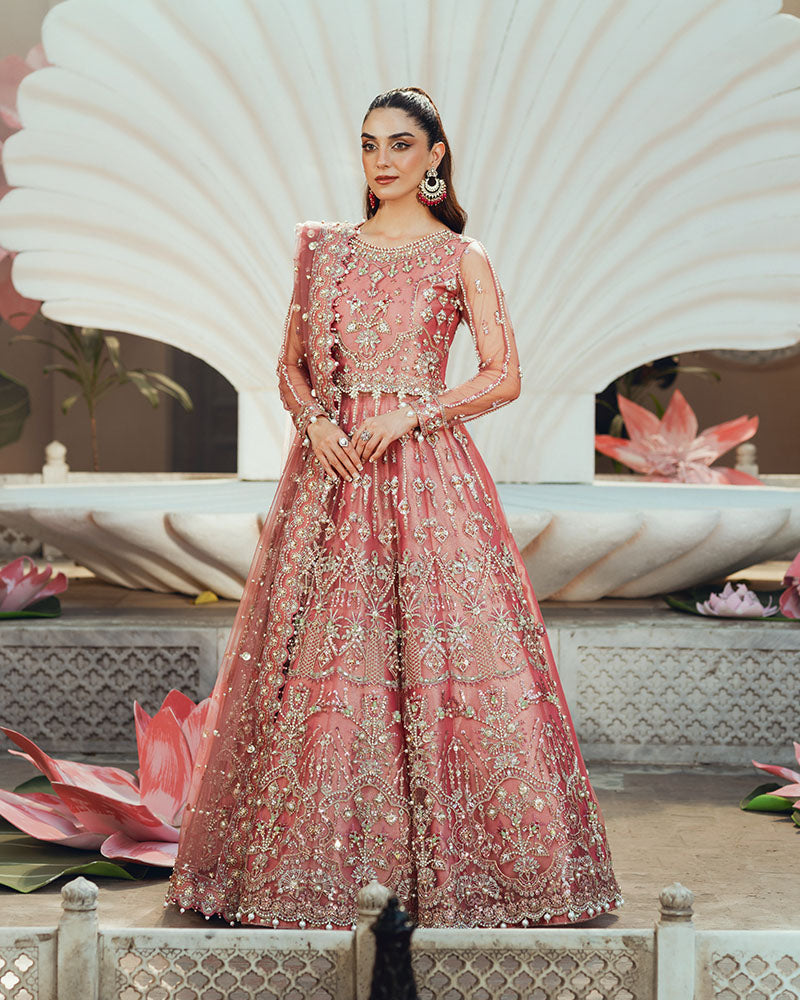 Ain | Naulakha Wedding Festive 24 | AR-142 ZORA XS Salmon Pink Net