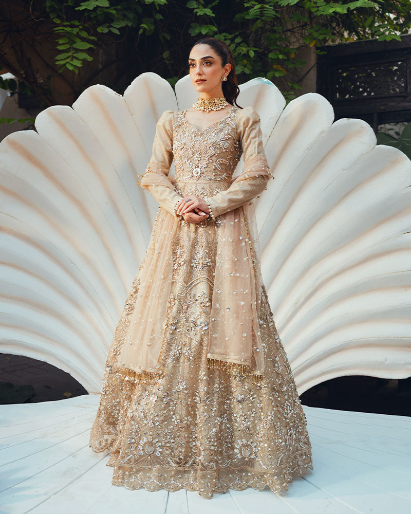 Ain | Naulakha Wedding Festive 24 | AR-144 SHELL XS Beige Net