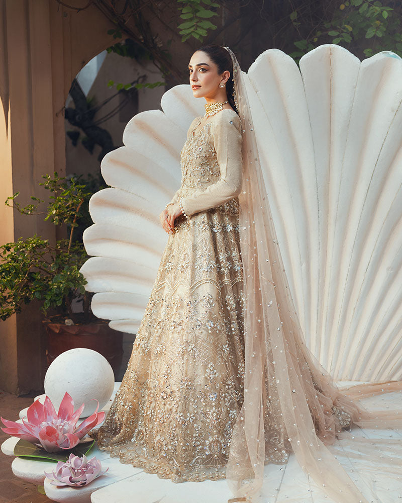 Ain | Naulakha Wedding Festive 24 | AR-144 SHELL S Beige Net