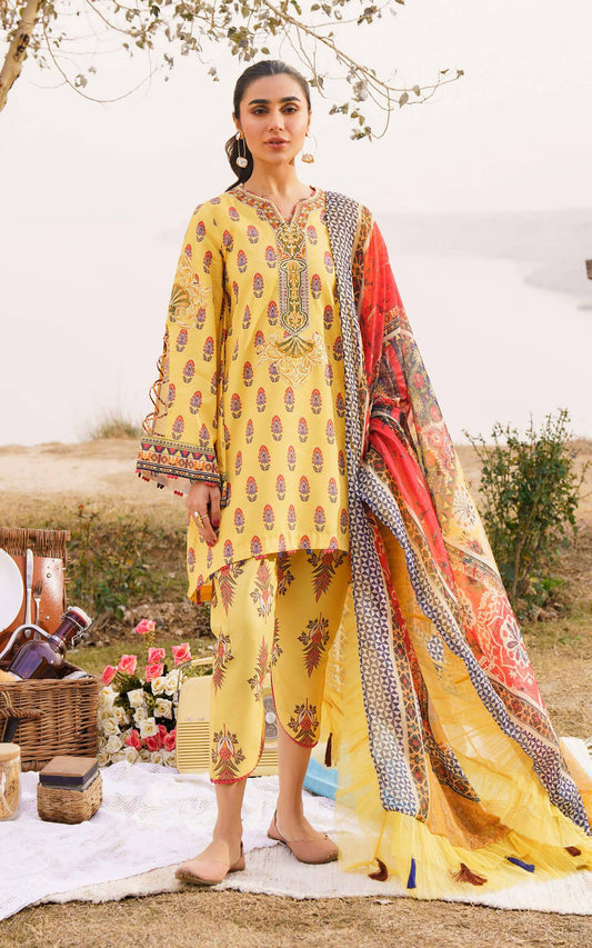 Asifa and Nabeel | Meraki Summer 24 | SONNET-U141M004 - Pakistani Designer Dress - by Asifa and Nabeel | Type: Luxury - 100% Original at Saira Sultan