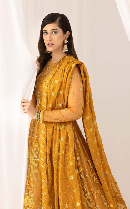 Asifa and Nabeel | Barasti Festive 23 | Chashni (ANB-03) - Pakistani Designer Dress - by Asifa and Nabeel | Type: Bridal - 100% Original at Saira Sultan