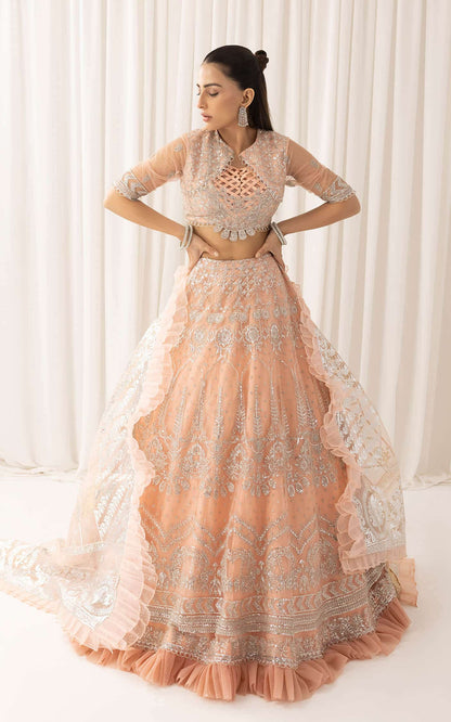 Asifa and Nabeel | Barasti Festive 23 | Shahnai (ANB-06) - Pakistani Designer Dress - by Asifa and Nabeel | Type: Bridal - 100% Original at Saira Sultan