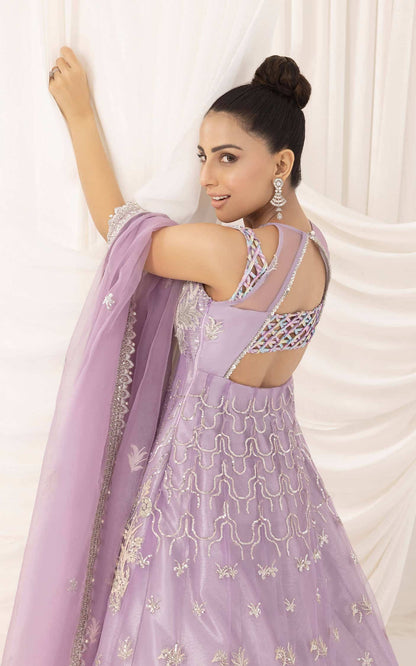 Asifa and Nabeel | Barasti Festive 23 | Risham (ANB-09) - Pakistani Designer Dress - by Asifa and Nabeel | Type: Bridal - 100% Original at Saira Sultan