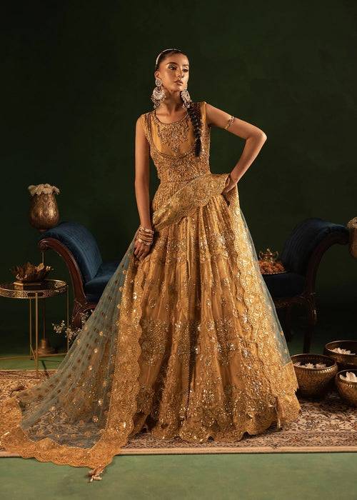 Diara Couture | Onora Wedding Festive | RYEAN - WC-2-05 - Pakistani Designer Dress - by Diara Couture | Type: Ladies Clothes - 100% Original at Saira Sultan
