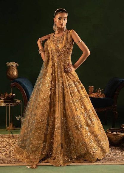 Diara Couture | Onora Wedding Festive | RYEAN - WC-2-05 - Pakistani Designer Dress - by Diara Couture | Type: Ladies Clothes - 100% Original at Saira Sultan