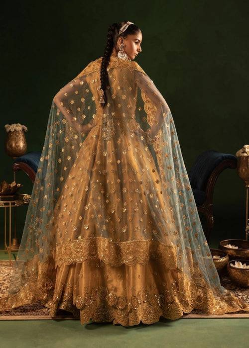 Diara Couture | Onora Wedding Festive | RYEAN - WC-2-05 - Pakistani Designer Dress - by Diara Couture | Type: Ladies Clothes - 100% Original at Saira Sultan