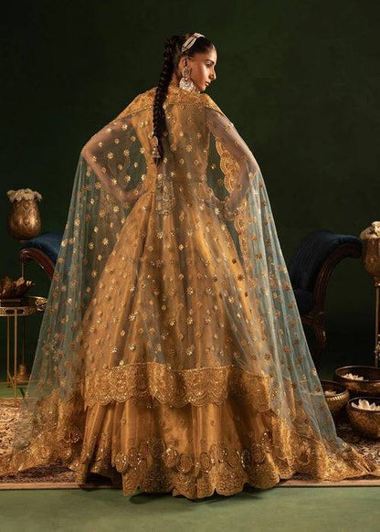 Diara Couture | Onora Wedding Festive | RYEAN - WC-2-05 - Pakistani Designer Dress - by Diara Couture | Type: Ladies Clothes - 100% Original at Saira Sultan