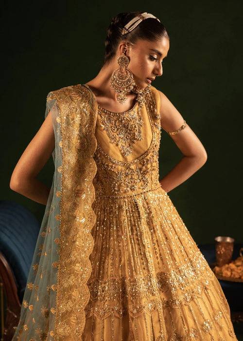 Diara Couture | Onora Wedding Festive | RYEAN - WC-2-05 - Pakistani Designer Dress - by Diara Couture | Type: Ladies Clothes - 100% Original at Saira Sultan